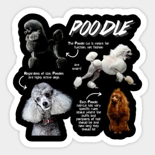 Poodle Fun Facts Sticker